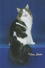 01_Tuvets Marthas Pick_Panda Full Child